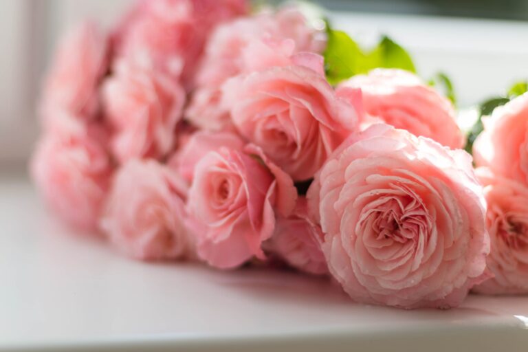 How to Choose the Right Flowers for Every Occasion – 2023 Guide