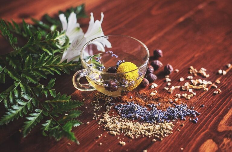 4 Advantages and Disadvantages of Herbal Medicine – 2023 Guide